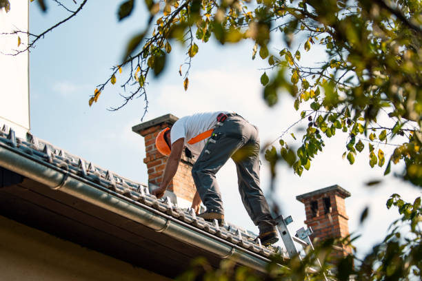 Best Chimney Flashing Repair  in Menifee, CA